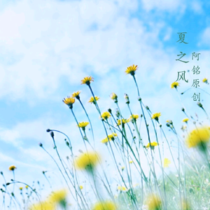 日韩AV无码精品
